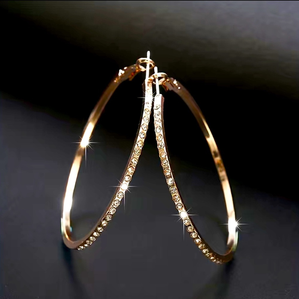 Fashionable Simple Large Round Earrings